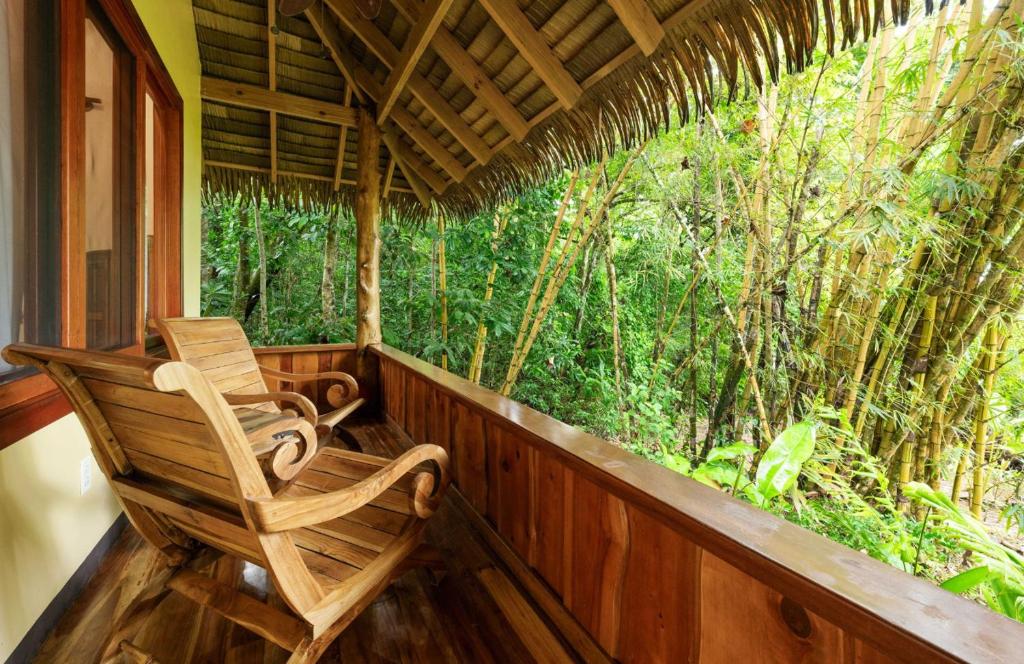 Balcony/terrace, Copa de Arbol Beach & Rainforest Resort in Drake Bay