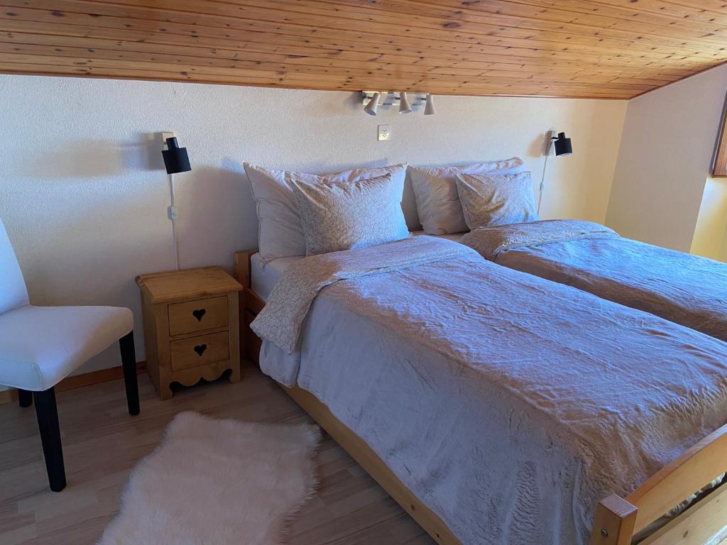 APPARTEMENT DE CHARME EN ATTIQUE dans UN PETIT CHALET - 2