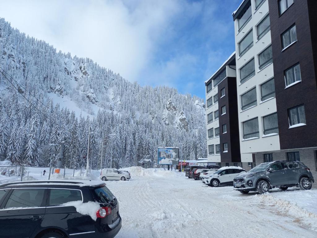 Apartman Winter night Snježna dolina - 2