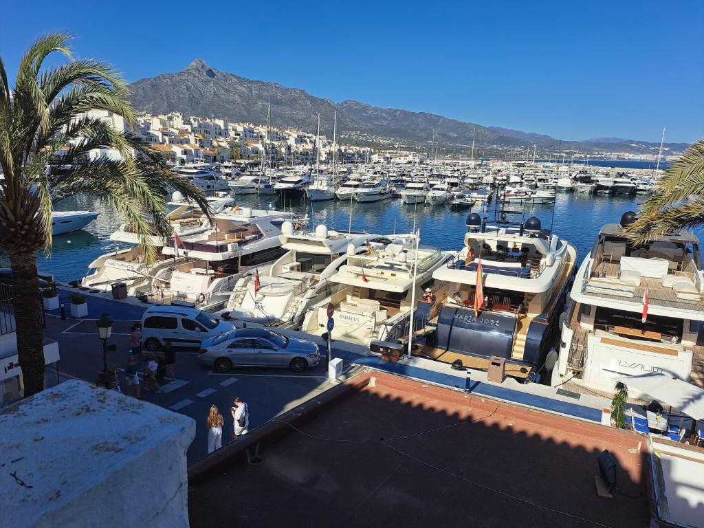 Huge penthouse with private suites shared terrace and kitchen BEST VIEWS - 3