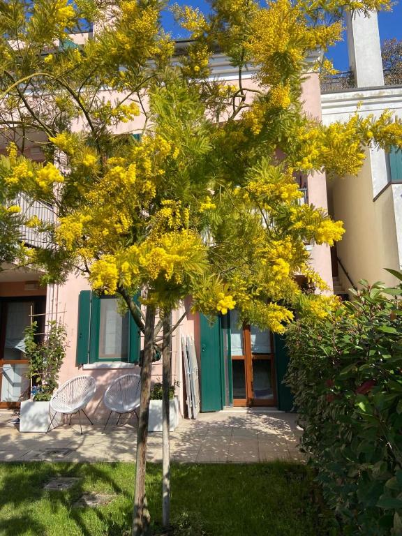 Appartamento Laguna - 2