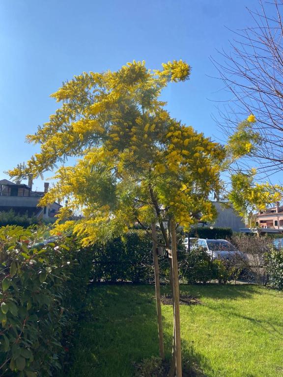 Appartamento Laguna - 3