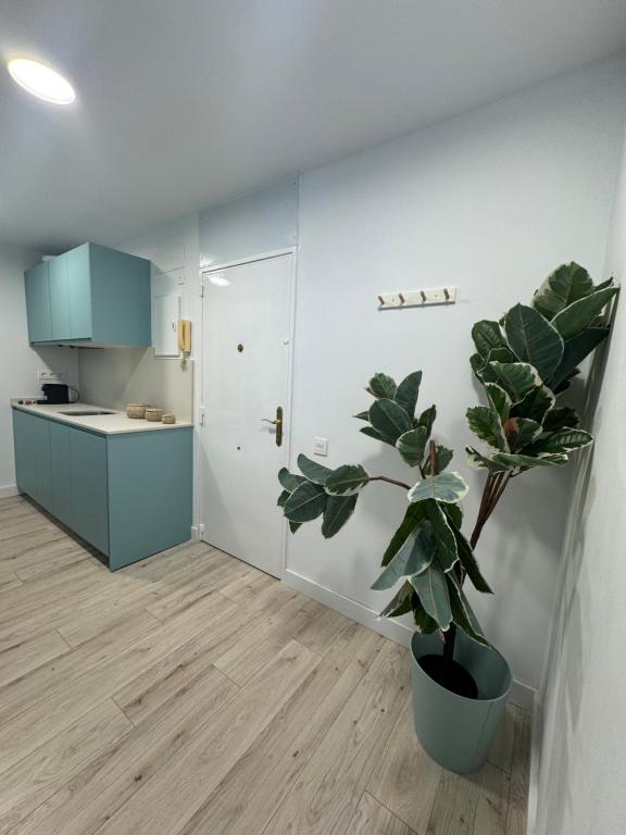 Oasis 29 - 4