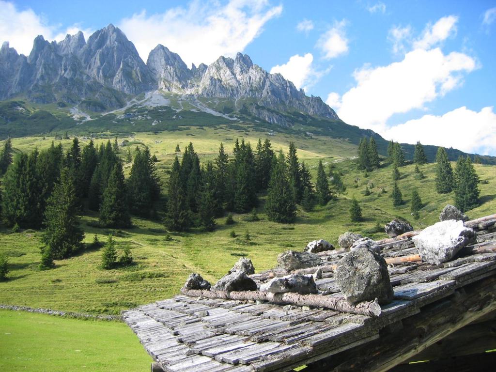 Appartementhaus Hochkönig 1 - Alpenrose - 4
