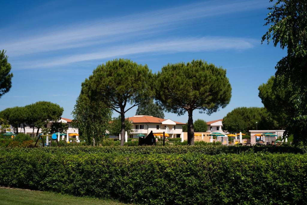 Lecci Lido Altanea - 4
