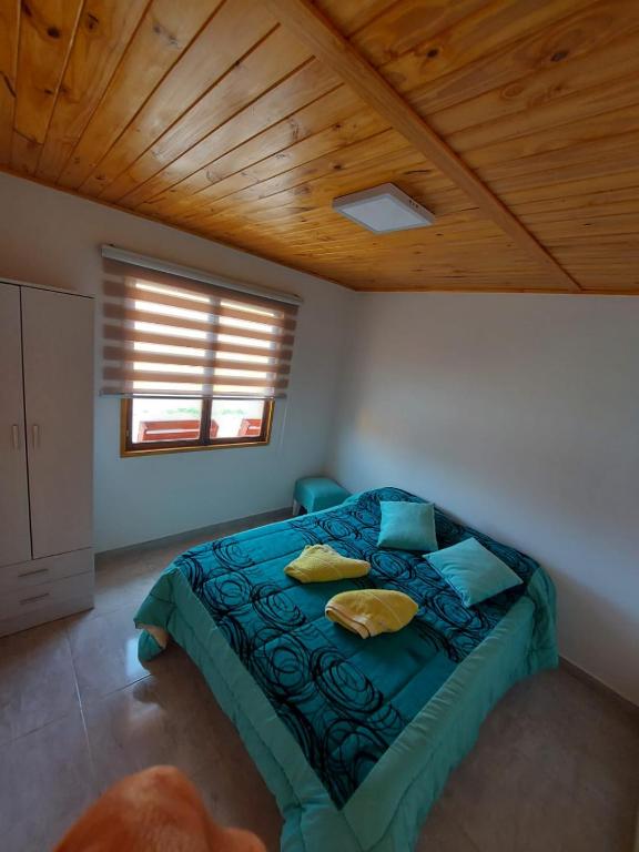 Cabañas KAMI - 5