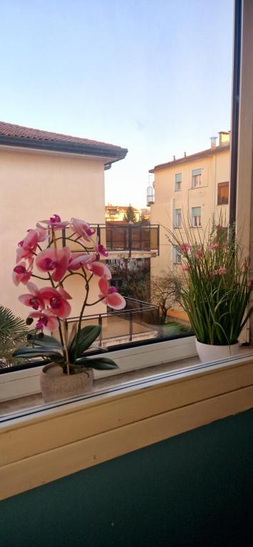 Hotel Tito - 5