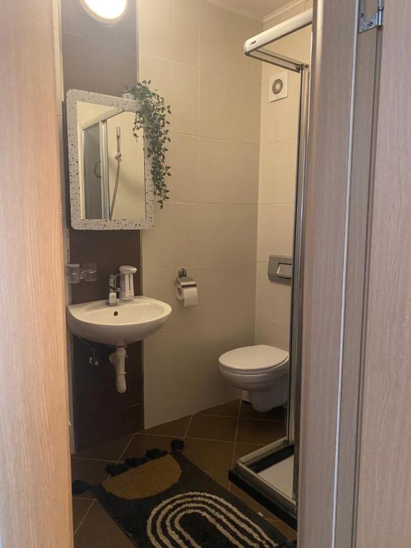 Jolly Kop PetkoSKI Apartman - 5