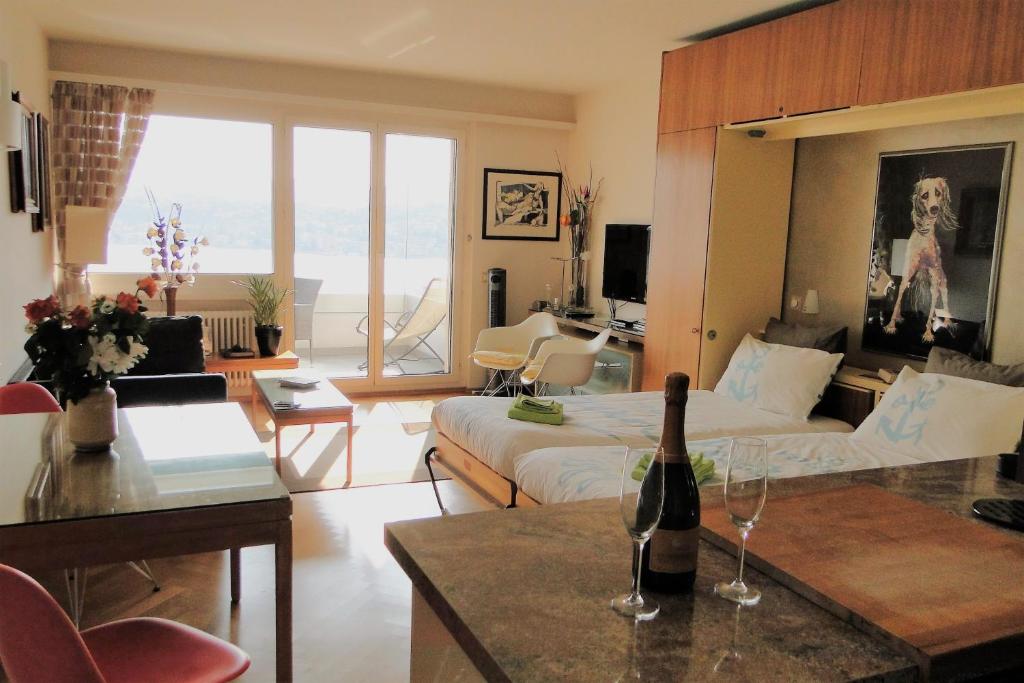 Panorama Studio Apartment 전경