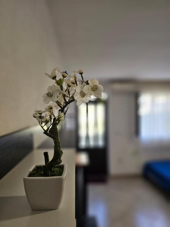 Apartment Blue Dream - 5