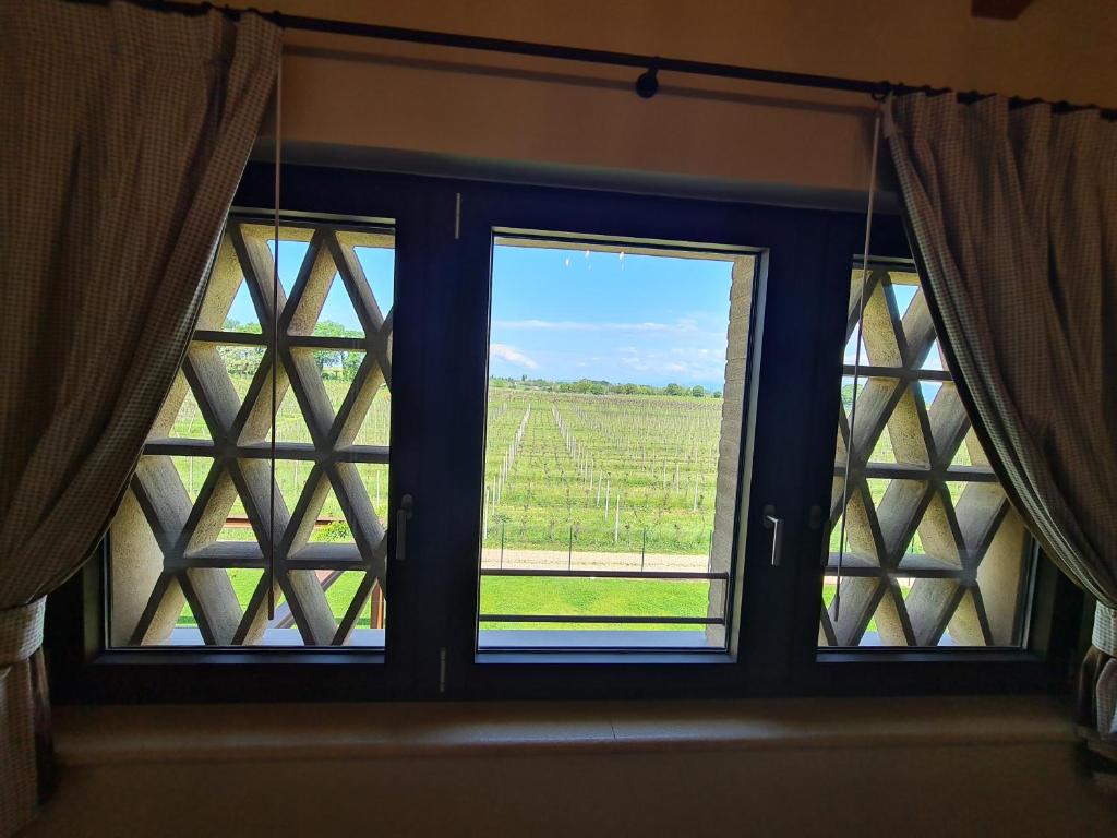 Appartamentino in az agricola Le vigne del Moretto - 5