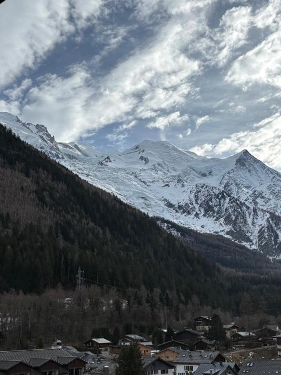 Chamois blanc / Chamonix - 5