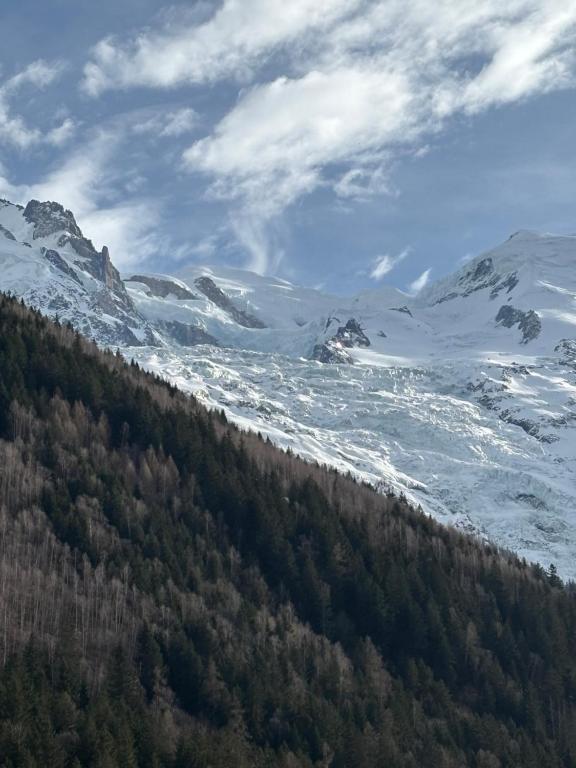 Chamois blanc / Chamonix - 3