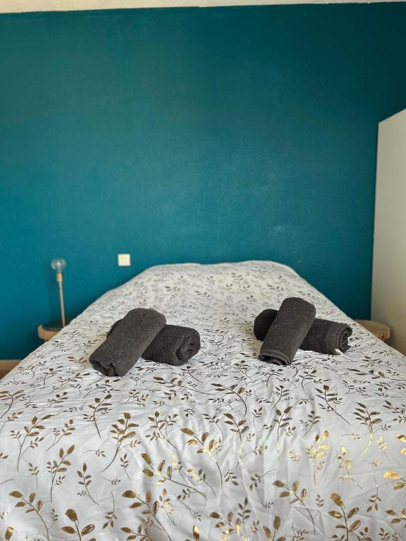 LE JULA - APPARTEMENT T2 PROCHE CENTRE VILLE - Parking privé - 4