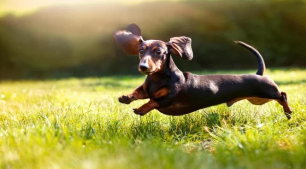 Cardiff-Kujukuri- - Vacation STAY 48763v, Kujukuri