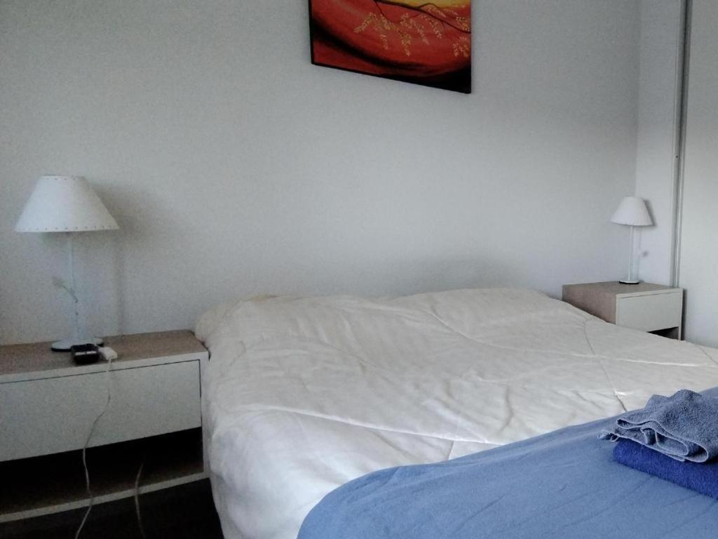 Alquiler por dia centrico, con cochera en el mismo lugar sin costo adicional - 5