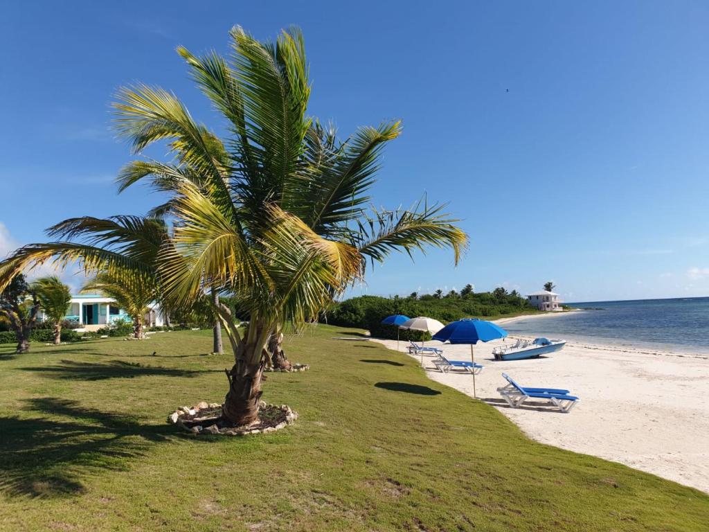 Beach, Coralito Bay Suites and Villas in Anguilla