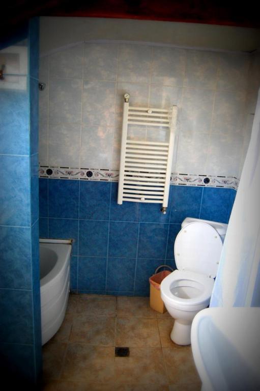 Guest House Irina Tbilisi photo