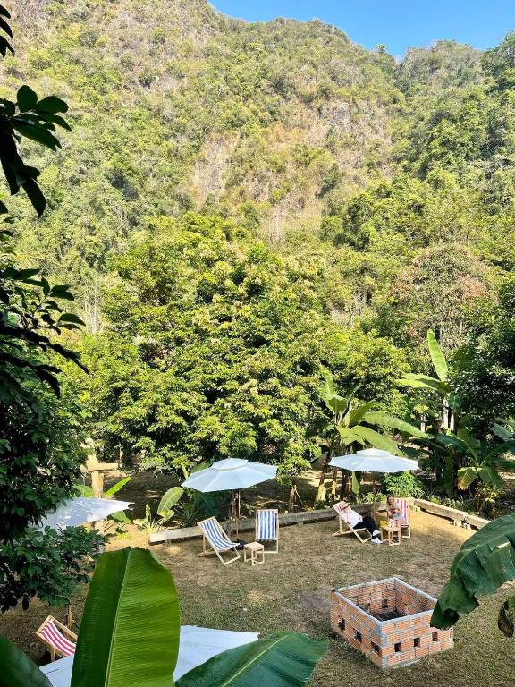 Surrounding environment