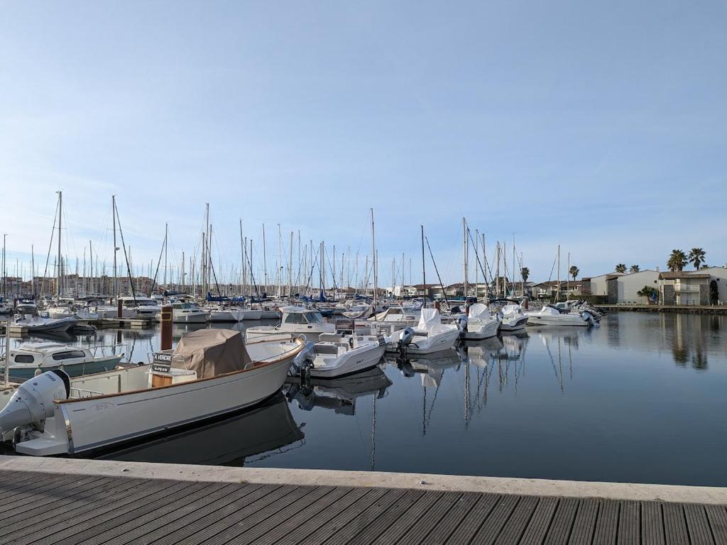 CAP7 Studio Cap d'Agde Centre port - 5