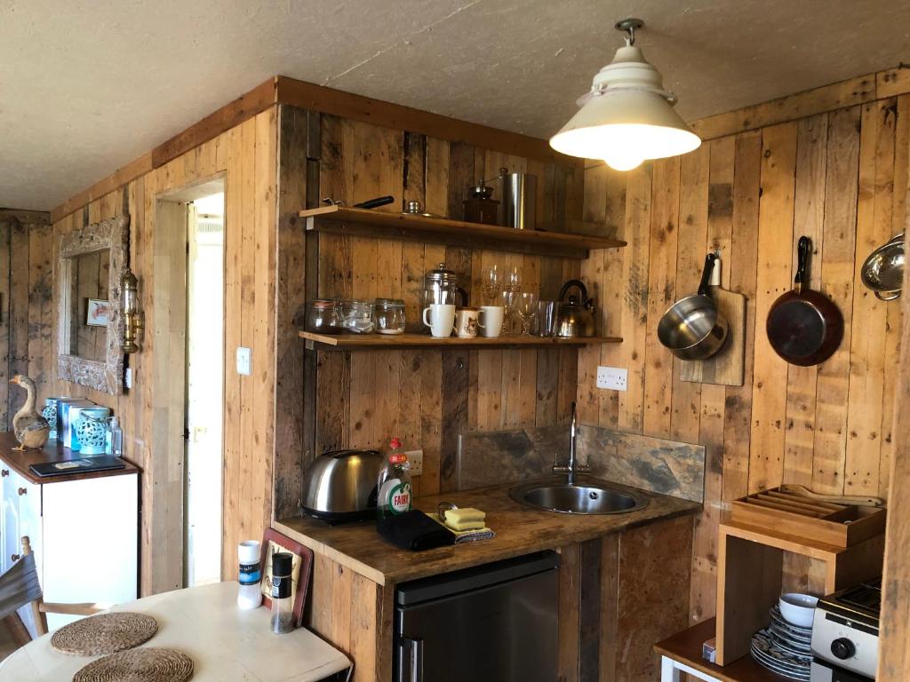 FoxesDen Unique Eco Cabin Dartmoor views 전경