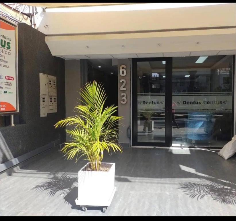 Hotel Residencial Dentus - 2