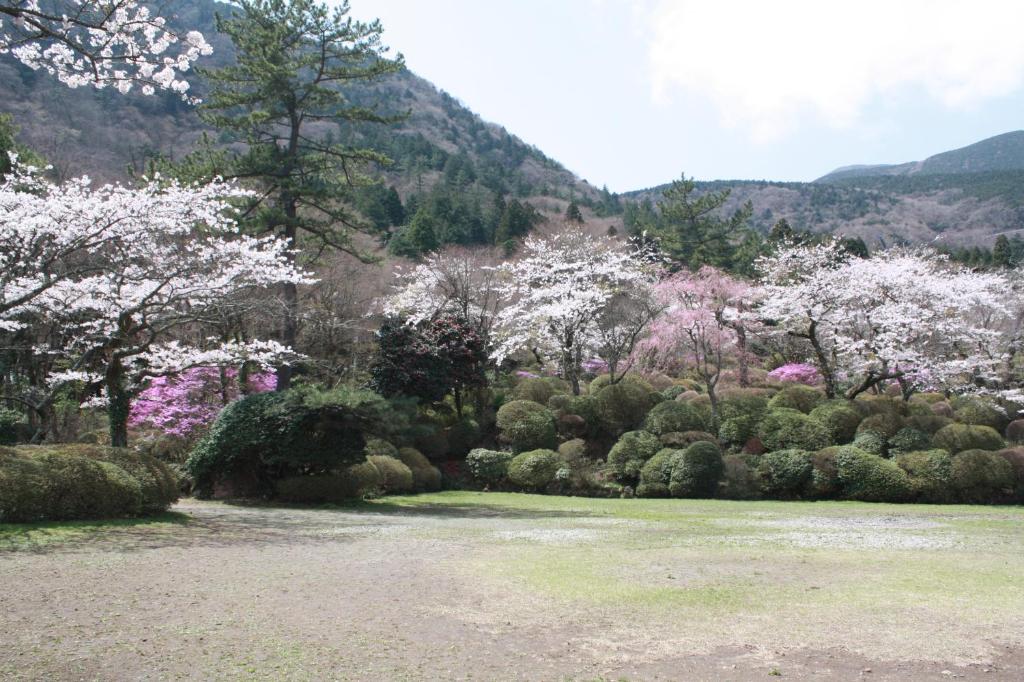 Beautiful natural surroundings