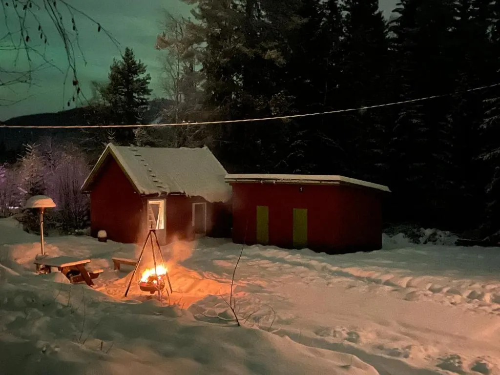Bekkvang Fjøs Tiny House, hotel in Trysil