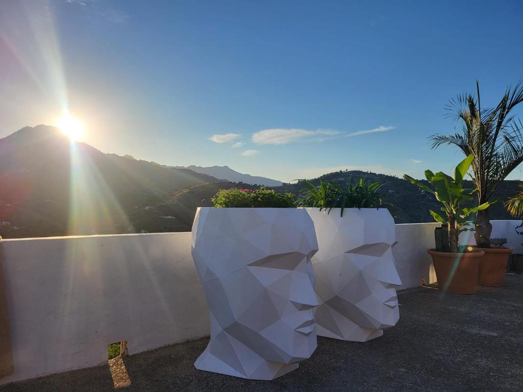 B&B Finca Conchales - 3
