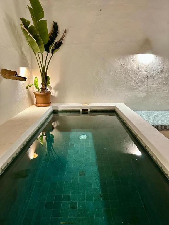 CANA JOANA, Casa Unifamiliar con Piscina Privada - 2