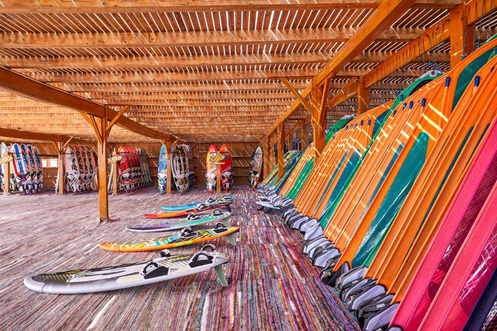 アクティビティ