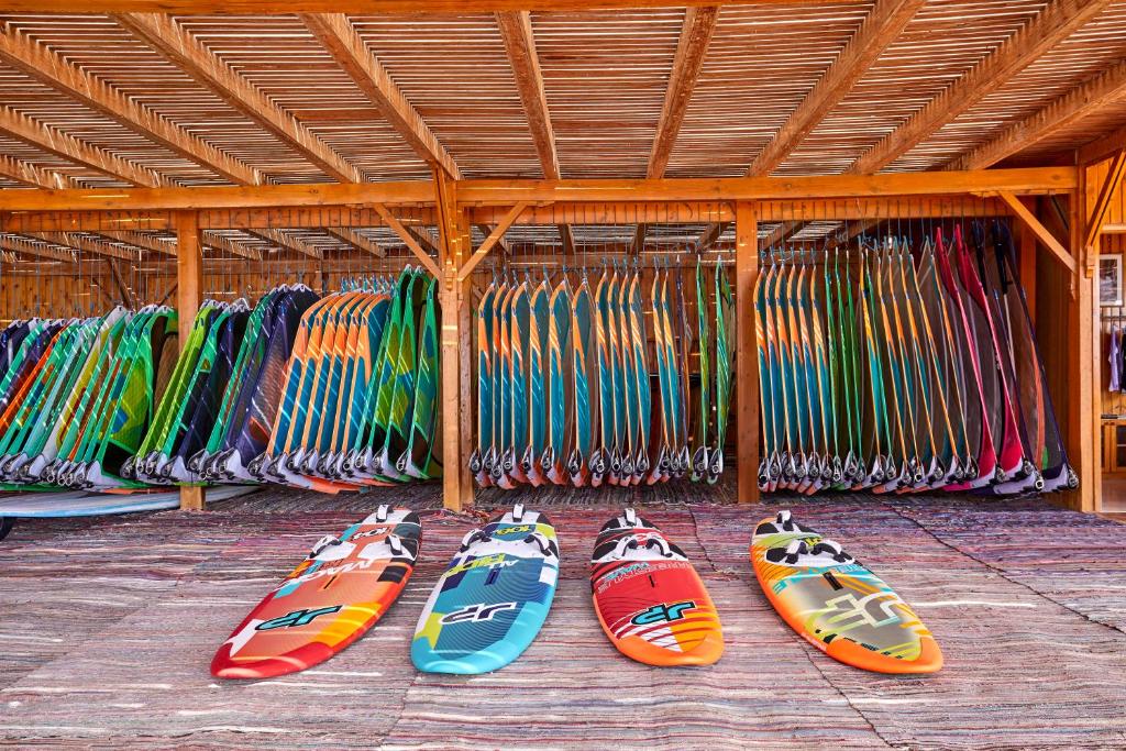 アクティビティ