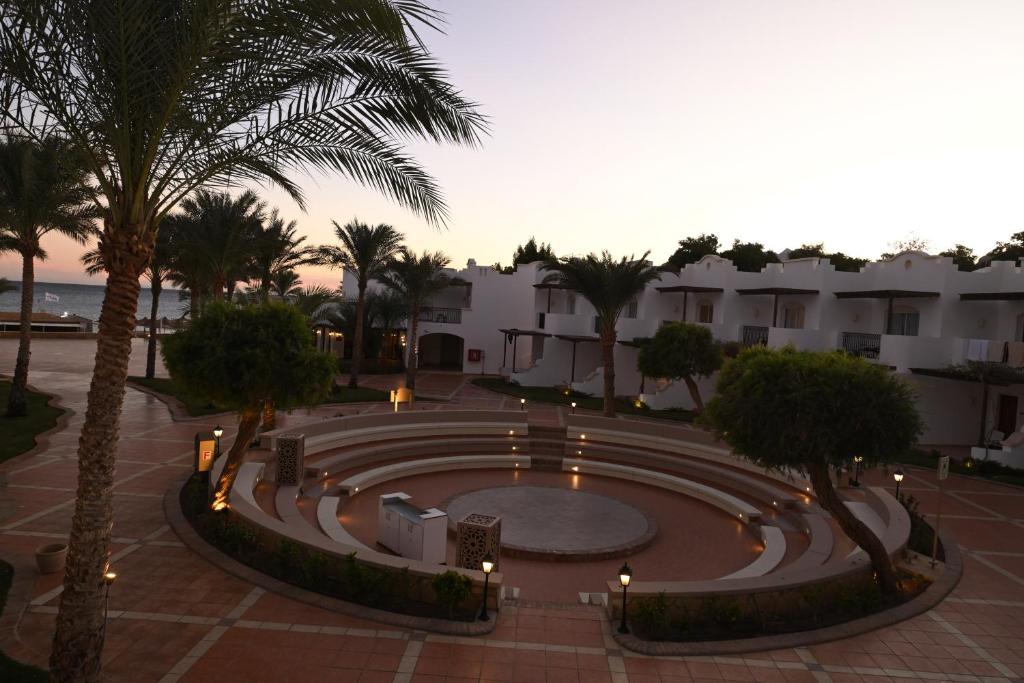 アクティビティ