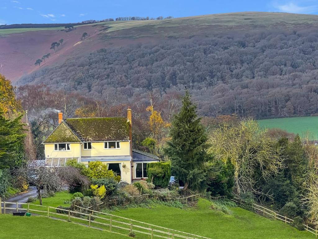 Backwoods Middlecome, Minehead