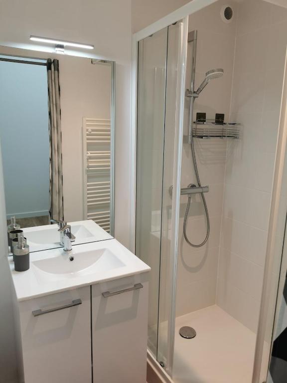 Logement entier à 10 minutes du cœur d'Angers - 4