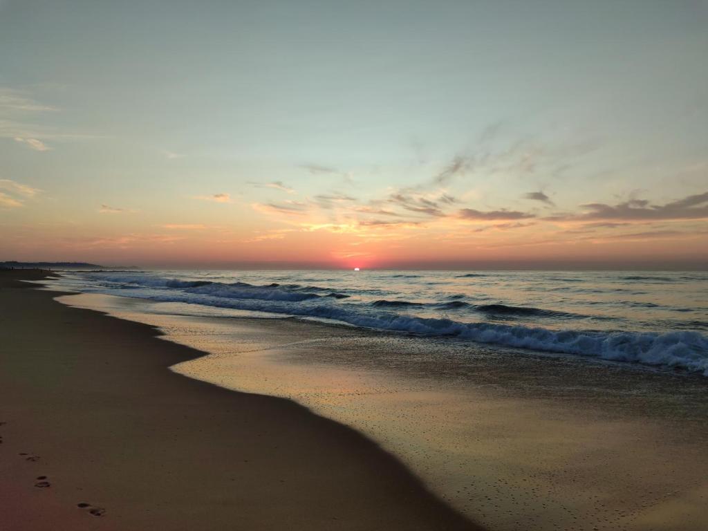 65 @ Zeezicht, Kingsburgh