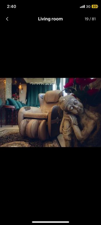 Jasmine villa, Murree