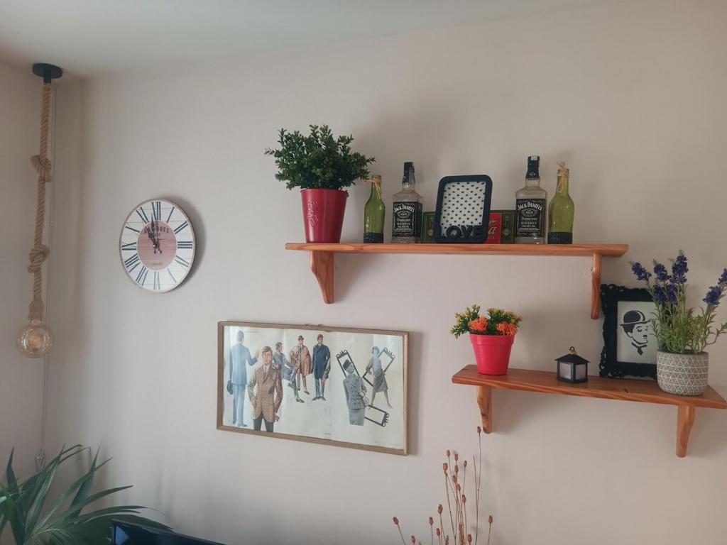 Apartamento OGUM Cáceres - 5