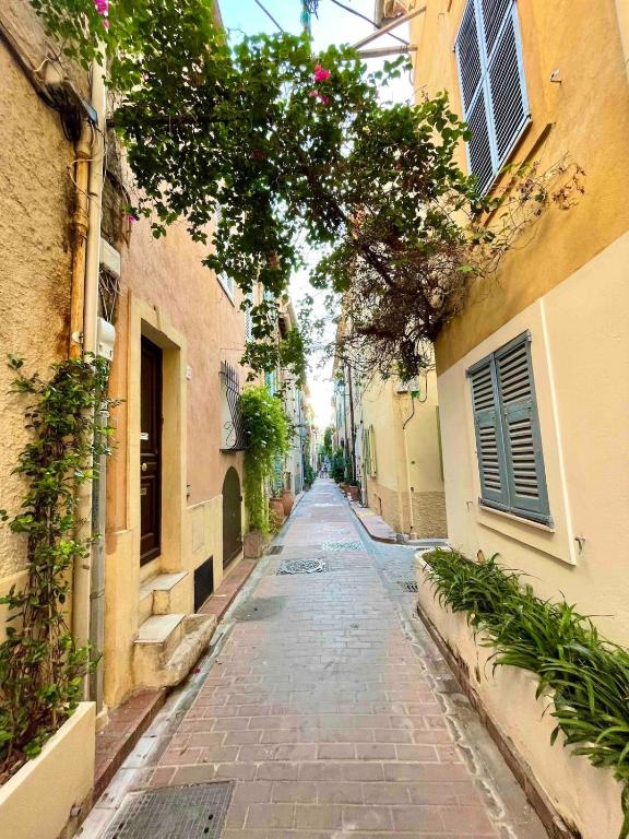 Spacieux studio - Vieil Antibes - 3