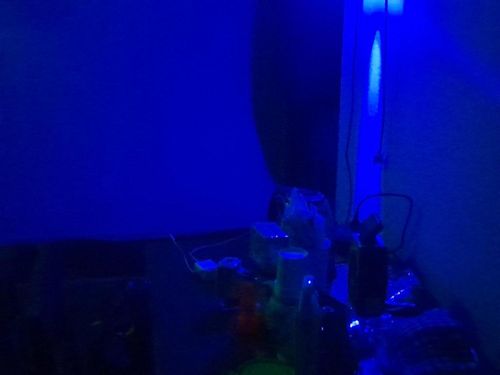 3. NEW SOUR..