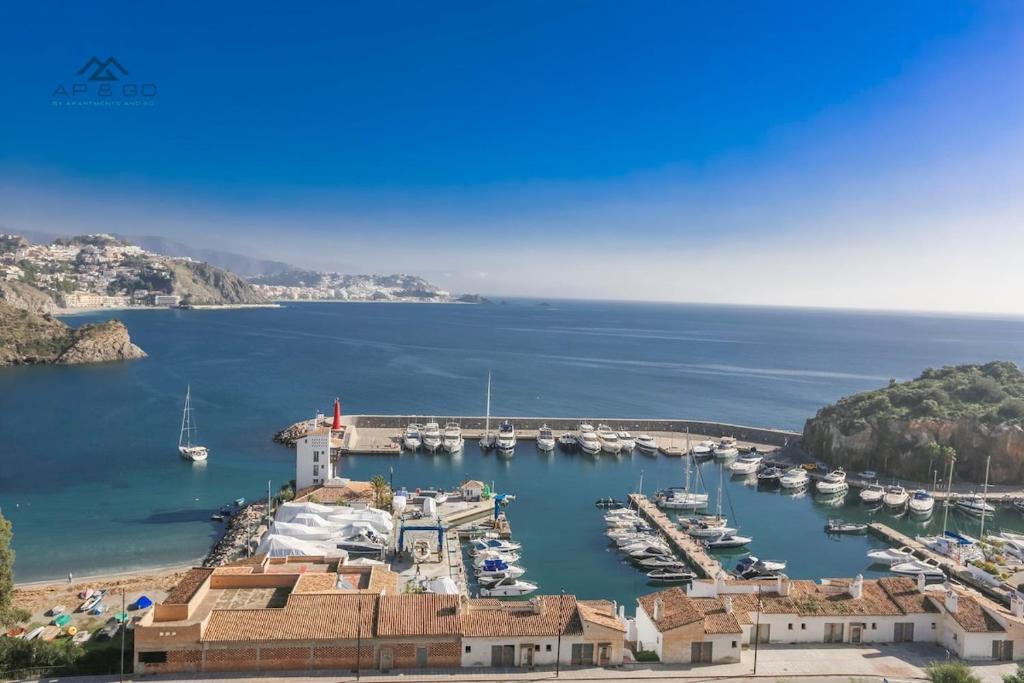 Icon Luxury Seaview Marina - 4
