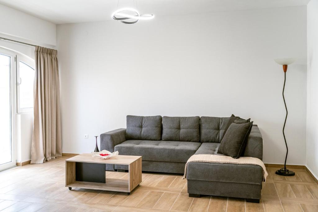 NT Apartment, Igumenica