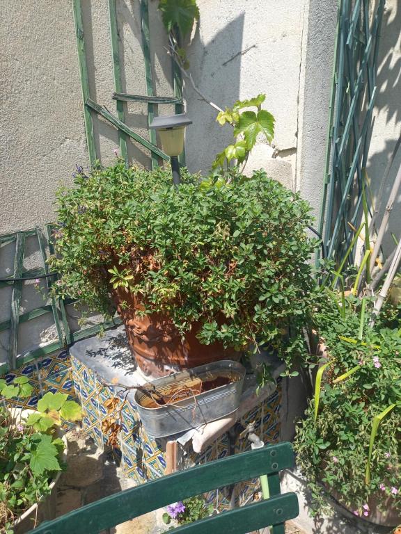 Duplex Terrasse cœur de Paris Montorgueil - 5