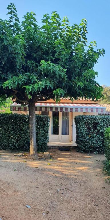 Studio 30 m2 climatisé calme, Eccica-Suarella