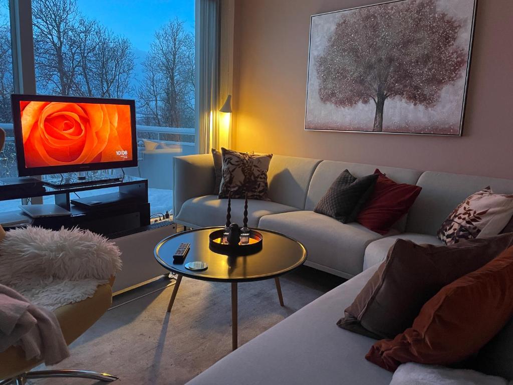 Beautiful view with a walking distance to everything, Tromsø