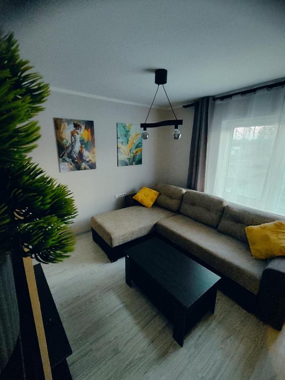 Apartman AQUA, Bečej