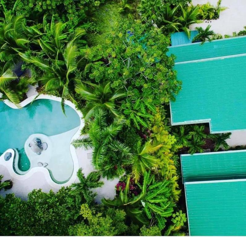 Nosara Verde, Nicoya