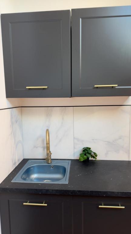 Le Loft, T2 duplex centre ville historique - 4