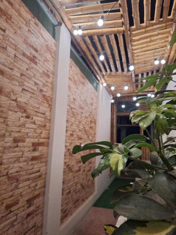 Casa Bambú - Simbal - 4