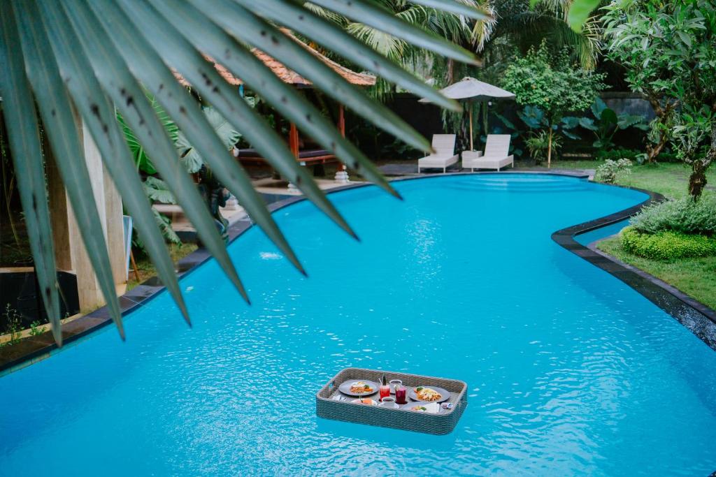 スイミングプール